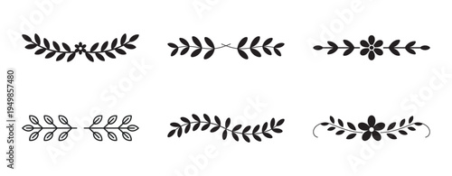 Set of minimalist botanical leaf dividers and floral scroll ornaments