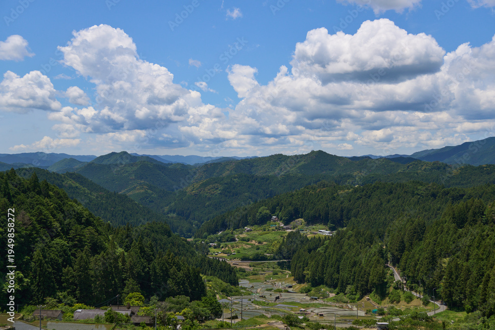 Obraz premium 【四谷千枚田】5月の新緑がまぶしい棚田の風景