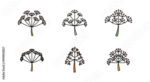 Dill Line art vector set modern creative abstract color design