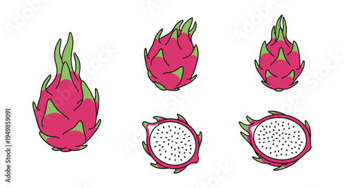 Dragonfruit Line art vector dynamic abstract vibrant color