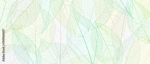 Leaf vein skeleton texture abstract background with close up plant leaf cells ornament texture pattern. Black and white organic macro linear background of nature leaf foliage vector illustration.