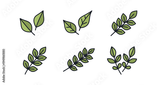 Curry Leaves Line art vector contemporary abstract color