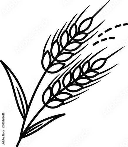 A black and white drawing of a wheat plant with grain
