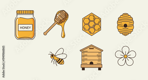 Honey bee and honeycomb illustration set 1.