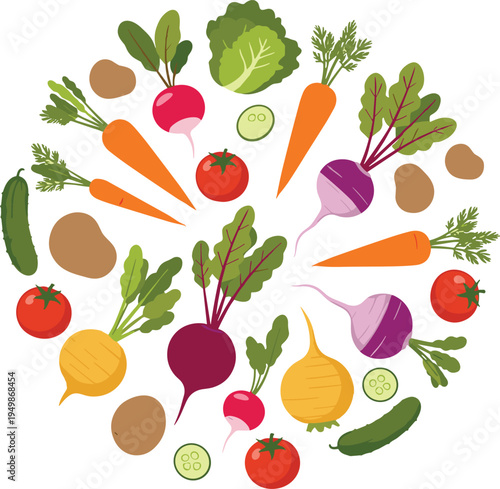 Vibrant Root Vegetable Vector Illustration Arranged in a Creative Circular Composition Featuring Carrots Radishes Beets Potatoes and Onions for Healthy Organic Food Design