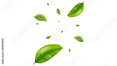 green leaf flying vector background