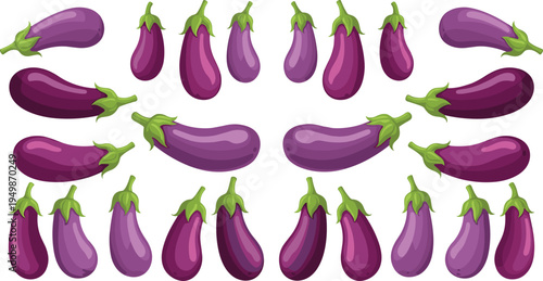 Eggplant vegetable collection. Different purple aubergine shapes arranged in a decorative set. Fresh organic vegetables for cooking ingredients, healthy food graphics, and farm produce design.