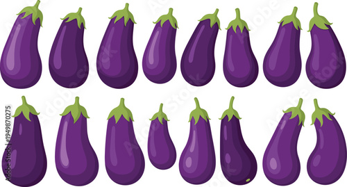 Eggplant vegetable varieties set. Purple aubergine icons in different shapes and sizes. Fresh organic vegetables for cooking ingredients, farm produce graphics, and healthy vegetarian food design.