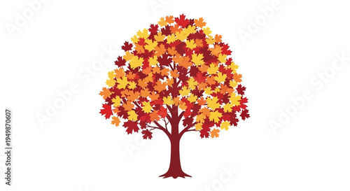 Autumn Maple Tree with Colorful Leaves Isolated on White Background