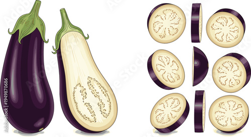 Eggplant vegetable illustration set. Whole aubergine, half cut eggplant and round slices isolated. Fresh organic vegetable graphics for cooking, healthy food, and farm produce design.