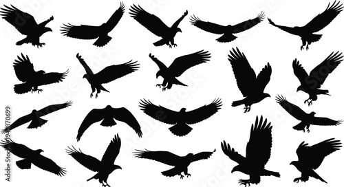eagle silhouette flying set, birds of prey wings spread collection, majestic raptor flight poses vector illustration