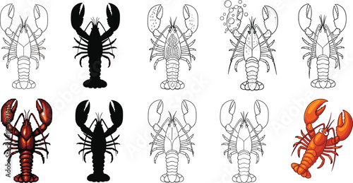 Lobster illustration styles vector set. Outline, silhouette and colored lobster icons collection. Marine seafood crustacean graphics for restaurant menu, seafood branding and ocean design.