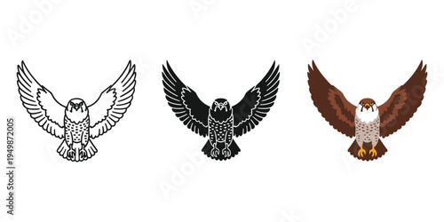 Three illustrations of birds with outstretched wings in different styles