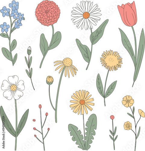 Floral Elements Illustration: Assorted Blooming Flowers and Buds on White Background