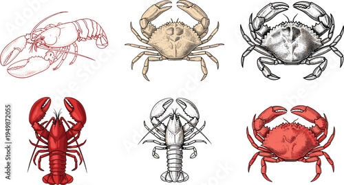 Crab and lobster vintage engraving collection. Detailed marine crustacean illustrations in sketch style. Seafood animals for restaurant menu and nautical design.