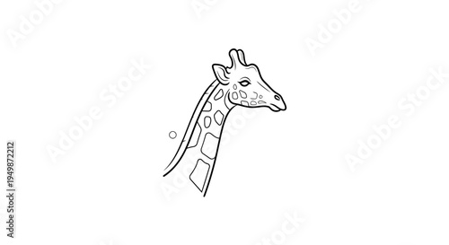 Giraffe head in profile view.