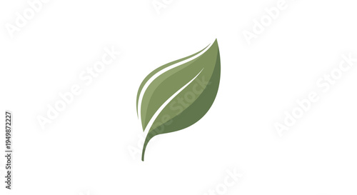 Green leaf with pointed tip.