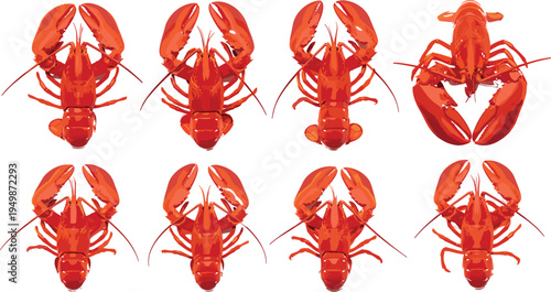 Lobster top view vector collection. Red marine crustacean illustrations from different angles. Seafood animal set for restaurant menu and ocean design.