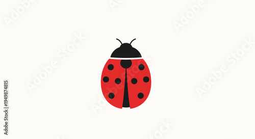Red ladybug with black spots insect.