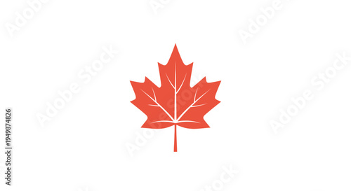 Red Maple Leaf Close Up.