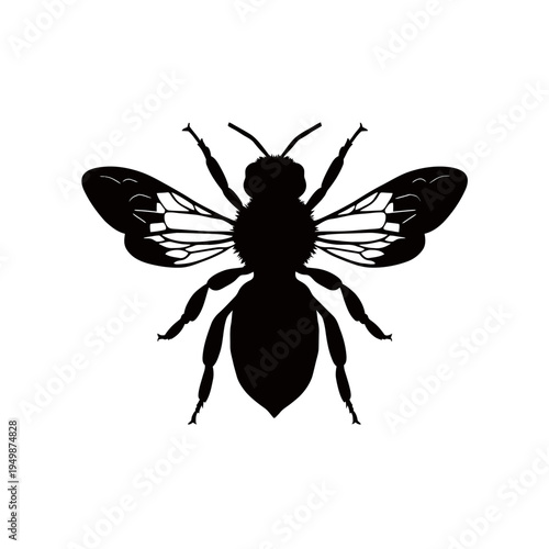 Silhouette of a honeybee isolated on a white background, insect illustration.
