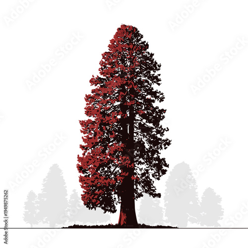Unique illustration of a tall redwood tree with red leaves against white background.