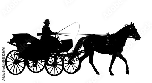 Silhouette of horse drawn carriage ride.