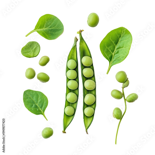 Wallpaper Mural Fresh organic green peas in open pods and baby spinach leaves isolated on black background Torontodigital.ca