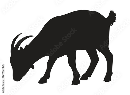 Goat Silhouette Illustration of a Grazing Farm Animal for Agricultural Branding, Livestock Husbandry, Butcher Shop Signage, and Rural