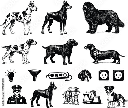 Vintage dog breeds and electricity icons vector set including Great Dane, Doberman, Labrador, Dachshund, light bulb, power plug, transmission tower illustration collection