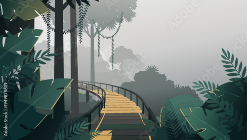 Rainforest canopy trail with misty light and open backdrop