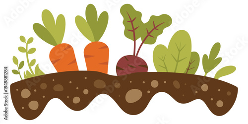 Cartoon Garden Bed with Carrots Beets and Green Plants Growing in Soil gardening vegetables