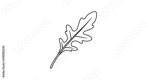 Arugula Leaf Outline Vector Illustration - Simple Botanical Line Art