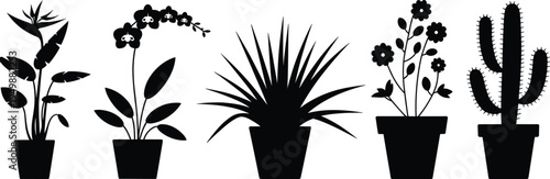 Five Black Silhouettes of Potted Tropical and Desert Plants Keywords: potted plants, houseplants, silhouettes, black and white