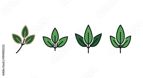 Epazote Line art vector set modern abstract color artwork