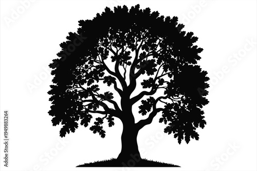 Silhouette of a Large Oak Tree with Lush Foliage on a White Background Keywords: tree, oak, silhouette, large, lush, foliage