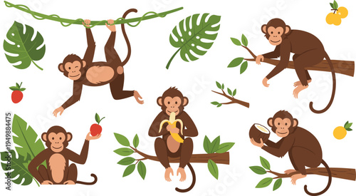 Cute Cartoon Monkeys in Jungle Set with Tropical Leaves, Fruits, Banana and Coconut Funny Animal Character Vector Illustration