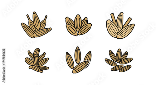 Fennel Seeds Line art vector modern vibrant abstract color illustration