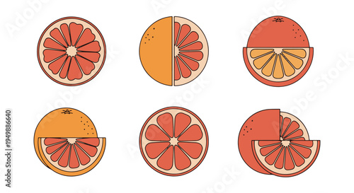Grapefruit Half Line art minimal clean abstract illustration