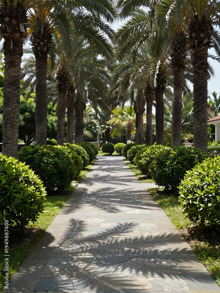 Obraz premium Lush Tropical Palm Tree-Lined Pathway in a Sunny Garden with Greenery
