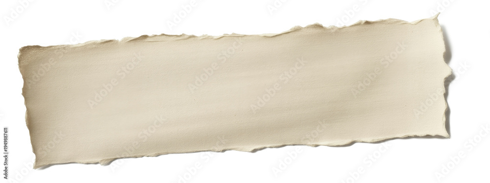 Fototapeta premium Torn Blank Paper Strip Isolated on Background
