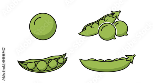 Green Peas Line art vector modern smooth abstract color
