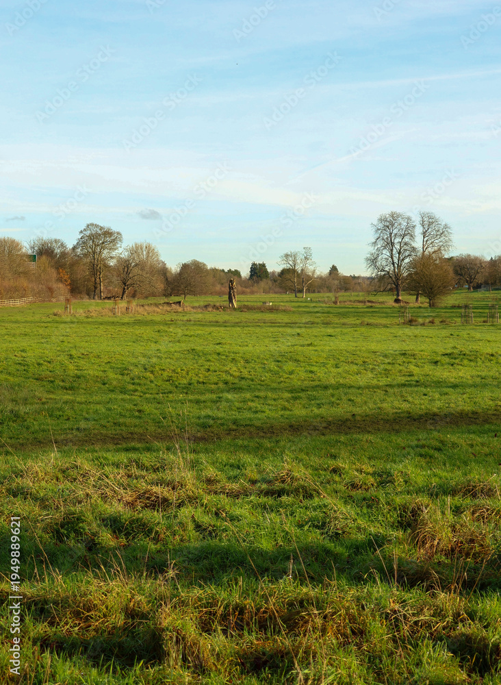 Fototapeta premium Lush green meadow under clear blue sky, capturing serene rural landscape and natural outdoor beauty