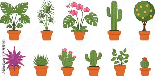 Potted houseplants and cactus collection indoor decorative plants vector illustration set