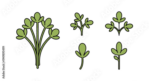 Garden Cress Line art vector modern pastel abstract color illustration