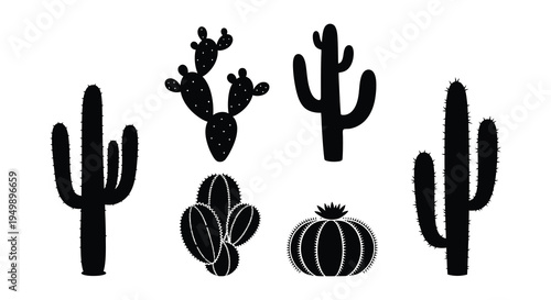 Black silhouettes of various cactus plants arranged on a white background