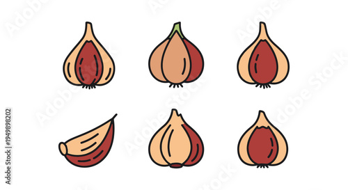 Garlic Clove Line art vector clean modern abstract artwork illustration