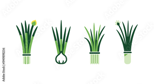 Garlic Chives Line art vector soft minimal abstract illustration