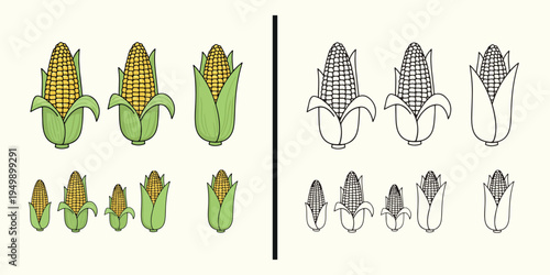 Corn vegetable botanical illustration, maize plant agriculture drawing, corn cob cartoon design, organic corn vegetable artwork, farm vegetable illustration design, maize crop botanical drawing, agric