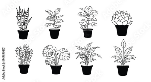 Collection of potted houseplants a minimalist line art illustration